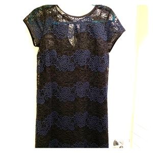Ann Taylor LOFT Black and Navy Lace Dress 4